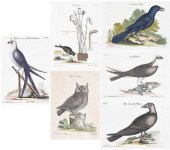 SIX ENGRAVINGS AFTER MARK CATE