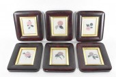 SIX ENGRAVINGS, CAMELLIASEarly