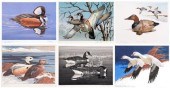 Six Federal duck stamp prints