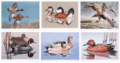Six Federal duck stamp prints