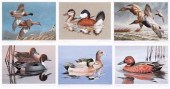 Six Federal duck stamp prints