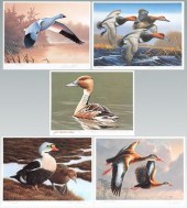 Six Federal duck stamp prints