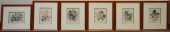 SIX FRAMED BOTANICAL COLOR LIT