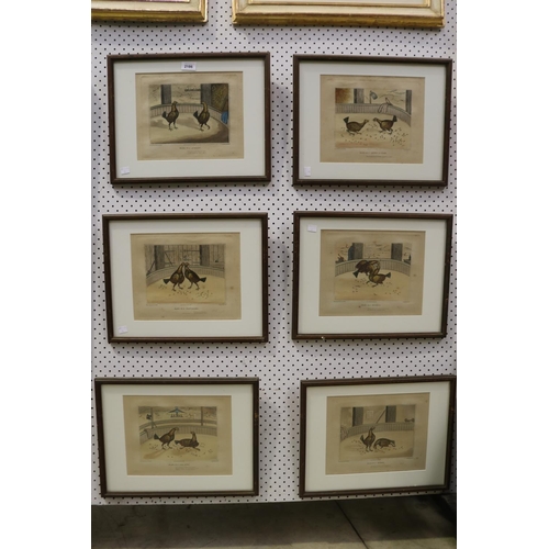 Six framed cock fighting