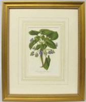 Six framed hand-colored lithog