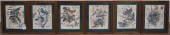 SIX FRAMED ORNITHOLOGICAL PRIN