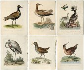 Six George Edwards prints (169
