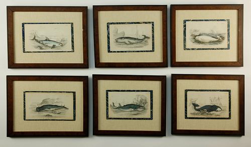 SIX HAND COLORED ENGLISH ENGRAVINGS