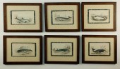 SIX HAND COLORED ENGLISH ENGRA