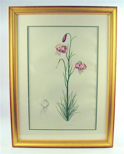 Six hand-colored lithographs of