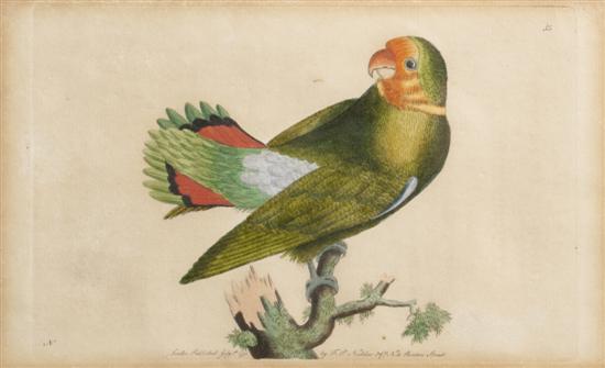 Six Handcolored Engravings