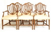 Six Hepplewhite style chairs