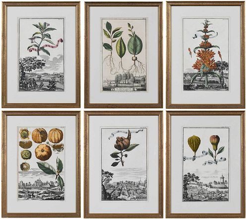 SIX JOHANN CHRISTOPH VOLCKAMER