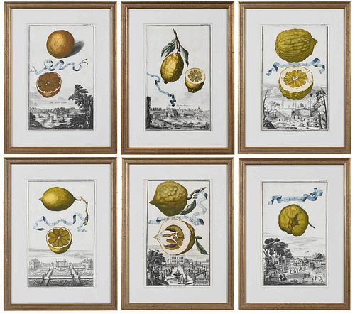 SIX JOHANN CHRISTOPH VOLCKAMER