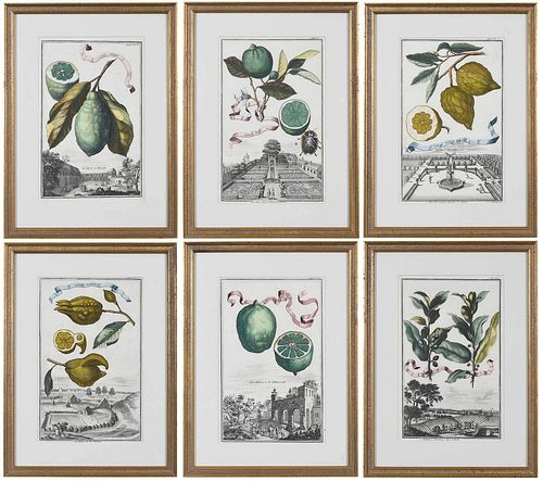 SIX JOHANN CHRISTOPH VOLCKAMER