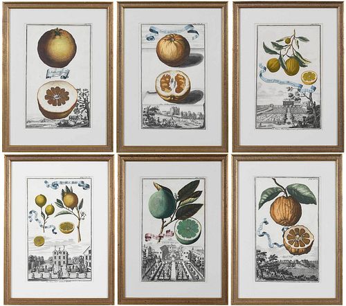 SIX JOHANN CHRISTOPH VOLCKAMER