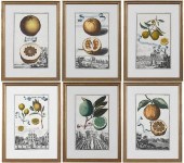 SIX JOHANN CHRISTOPH VOLCKAMER