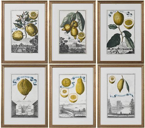 SIX JOHANN CHRISTOPH VOLCKAMER