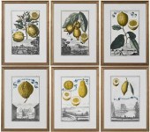 SIX JOHANN CHRISTOPH VOLCKAMER