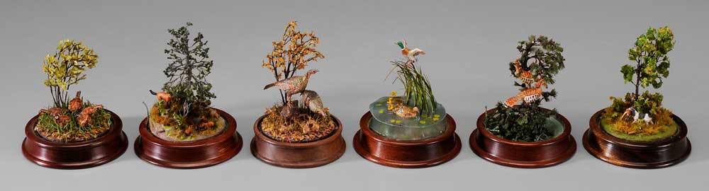 Six Miniature Wildlife Dioramas