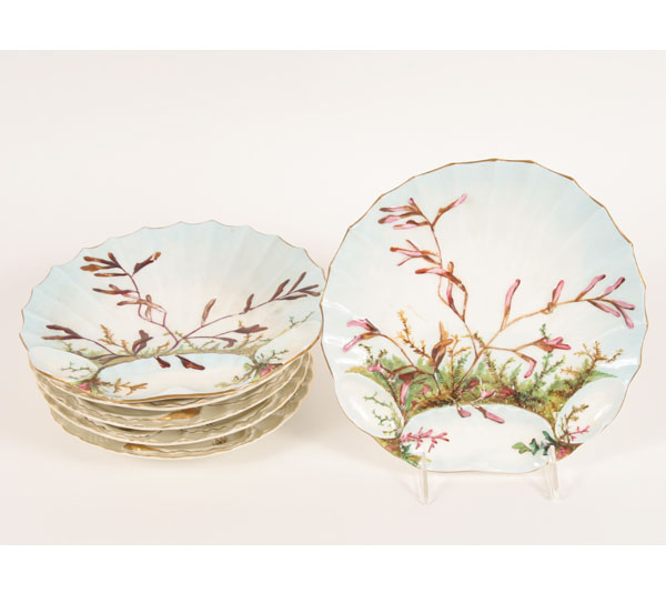 Six oyster plates; Bodley and