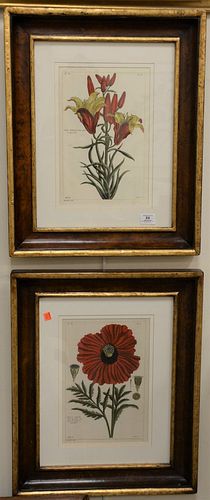 SIX PIECE FRAMED GROUP, TO