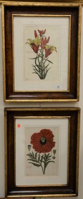SIX PIECE FRAMED GROUP, TO INC