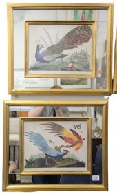 SIX PIECE GROUP OF BIRD DIGITA