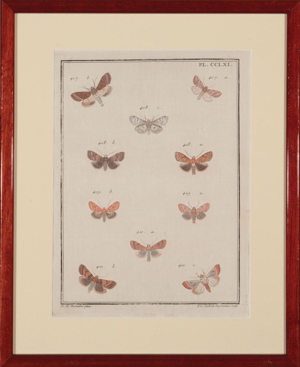 SIX PRINTS OF BUTTERFLIESSix