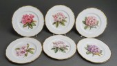 SIX SPODE 'RHODODENDRON' DINNE