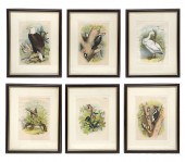 SIX STUDER/JASPER LITHOGRAPHS