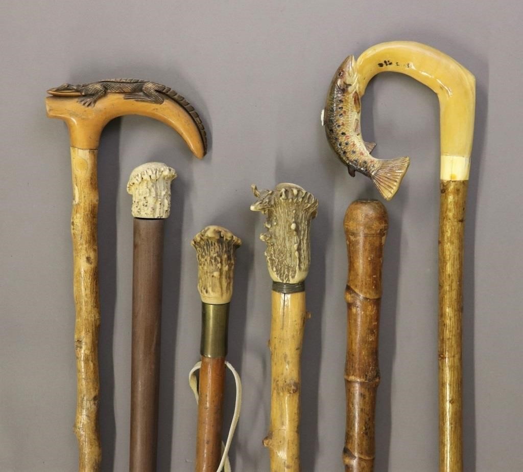 Six walking sticks and canes, to