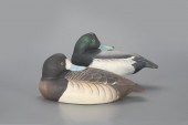 SLEEPING BLUEBILL PAIRThe Ward