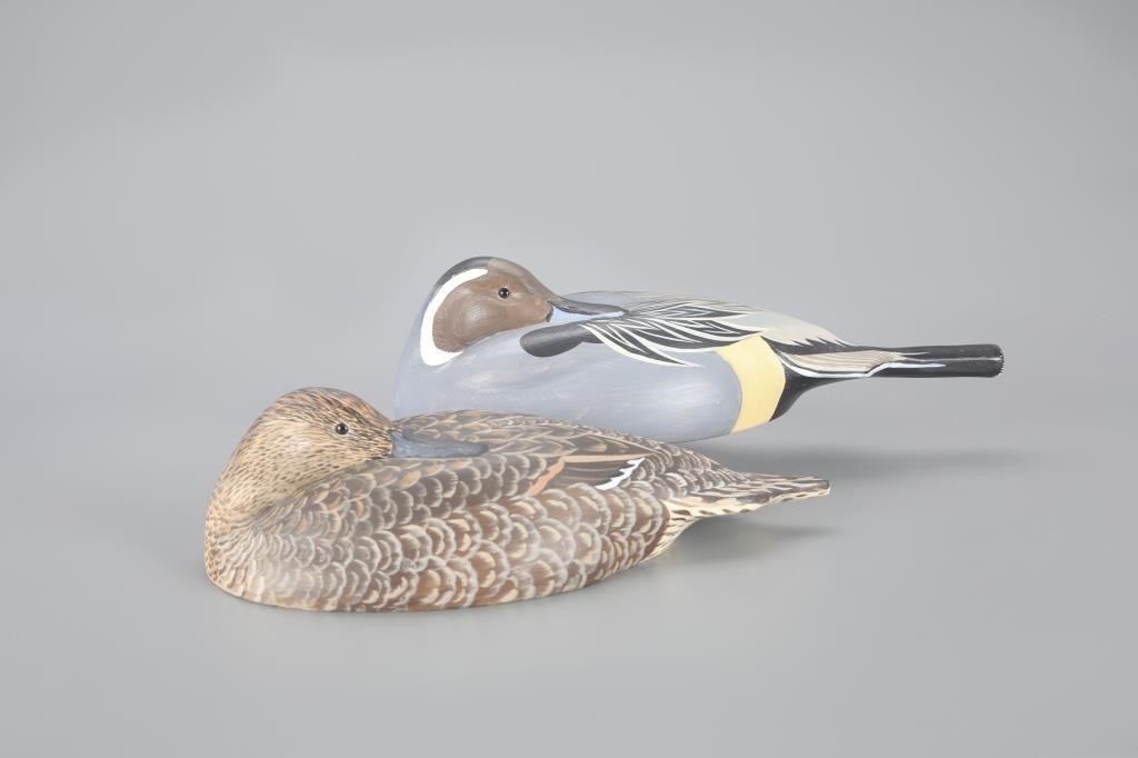SLEEPING PINTAIL PAIREd Snyder