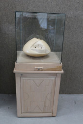 SMALL MUSEUM STYLE DISPLAY CAS