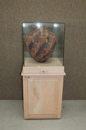 SMALL MUSEUM STYLE DISPLAY CAS