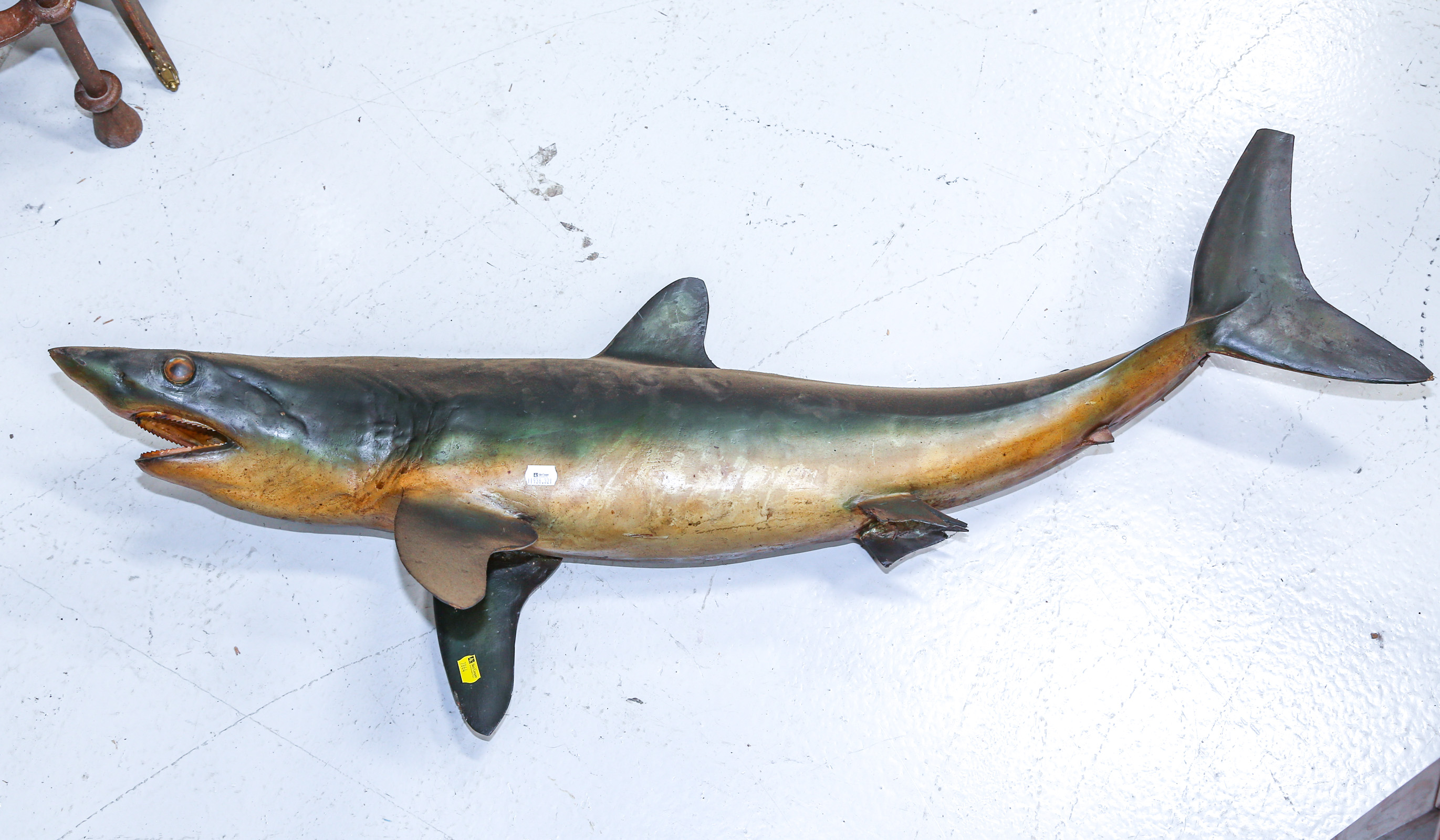 SMALL SHARK WALL MOUNT .