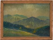 SMALL SMOKY MOUNTAINS LANDSCAP