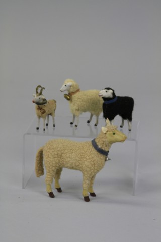 SMALL SPOTTED RAM AND THREE