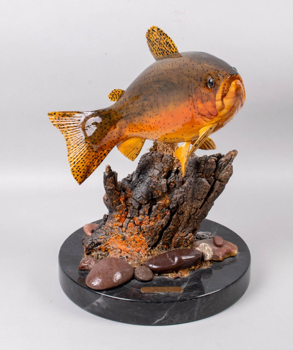 SNAKE RIVER CUTTHROAT TROUT