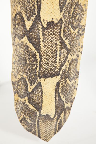Snake Skinbrown and cream