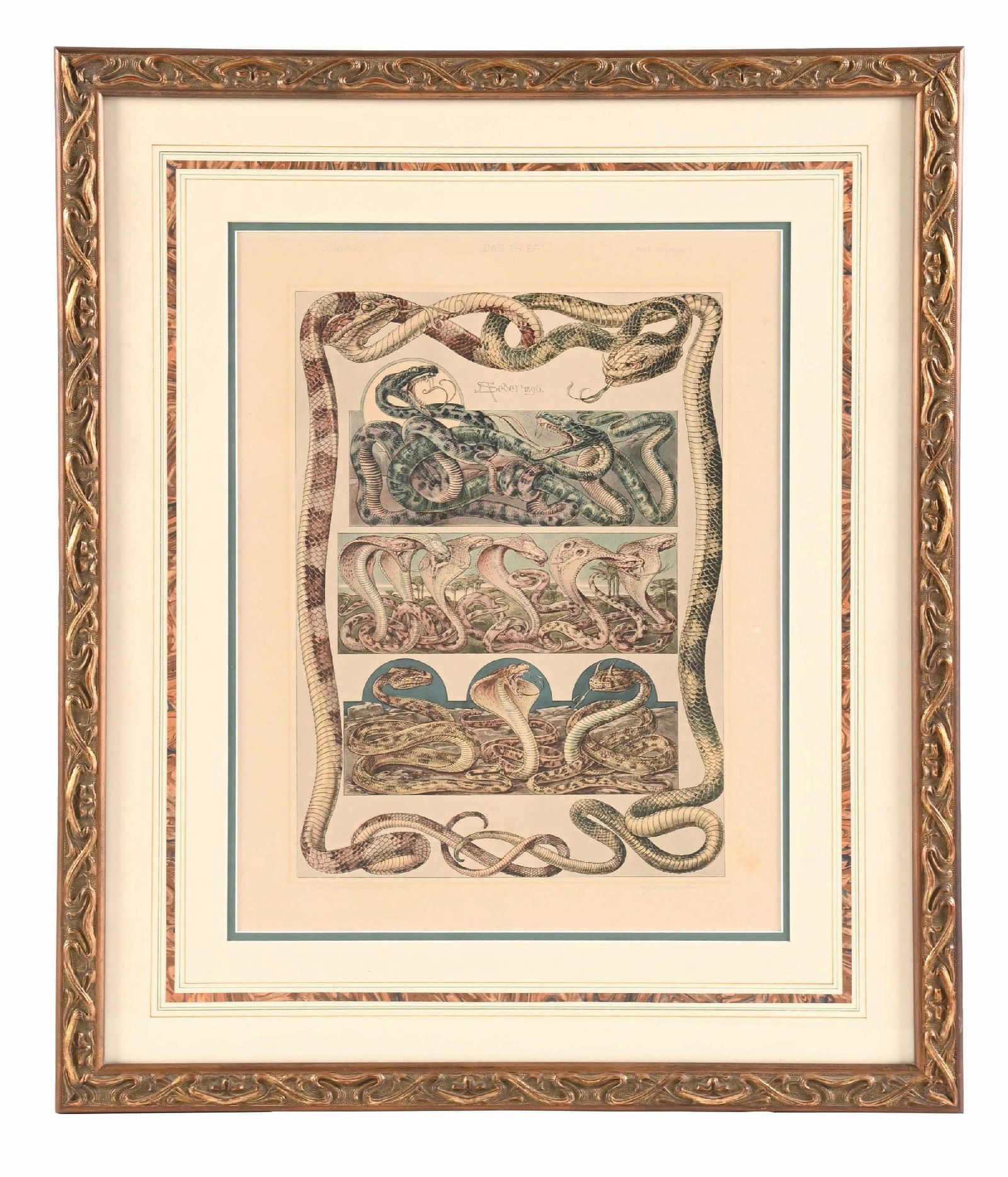 SNAKES ANTON SEDER (1850 -