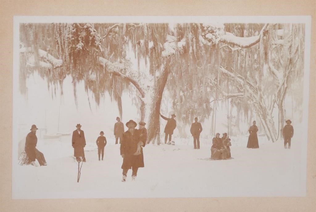 SNOW IN FLORIDA CABINET CARD