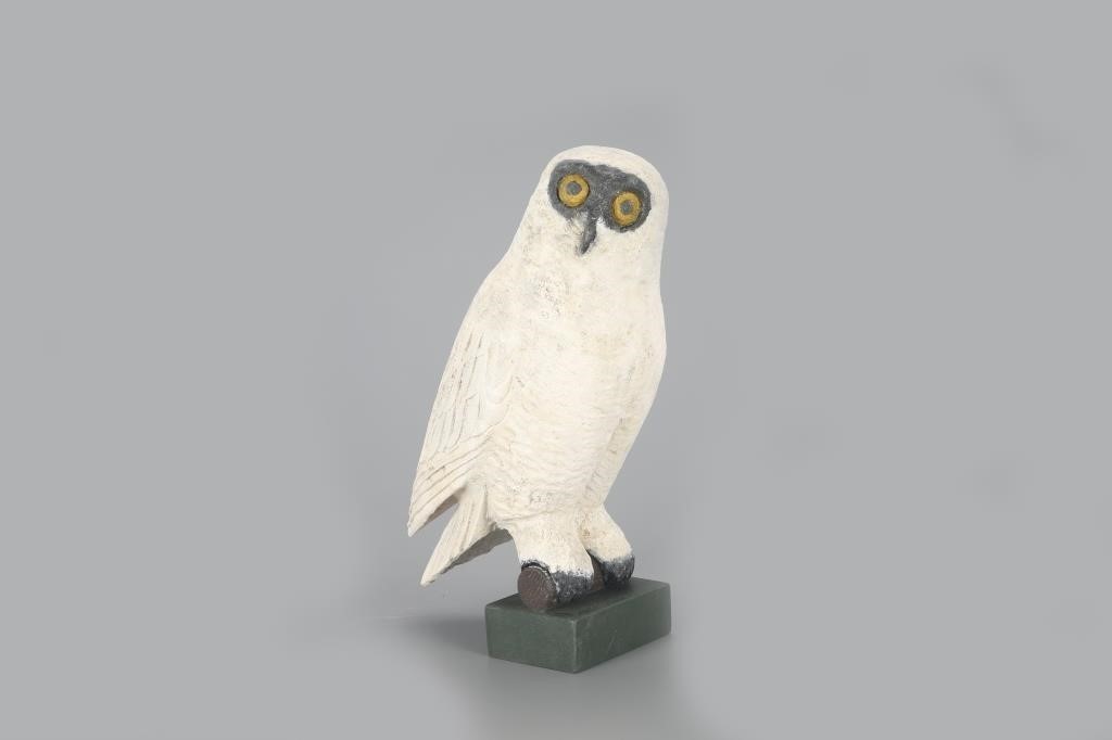 SNOWY OWLFrank S. Finney (b.