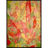 SOICHER MARIN COLORFUL STILL L