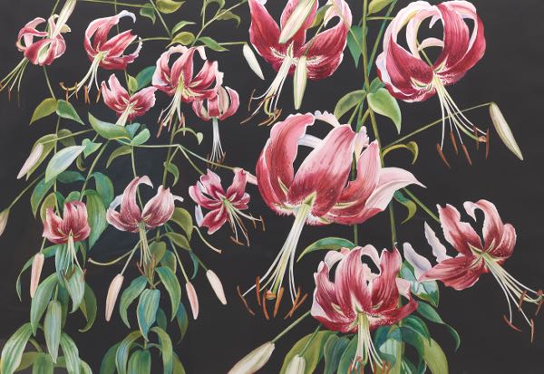 SONIA MOLNAR (AMERICAN, 20TH