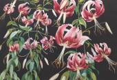 SONIA MOLNAR (AMERICAN, 20TH C