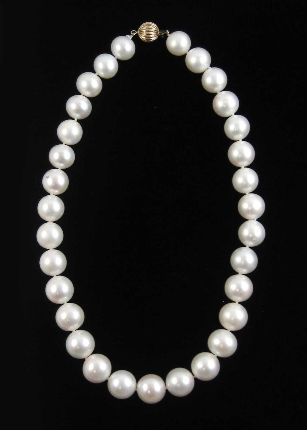 SOUTH SEA PEARL AND FOURTEEN