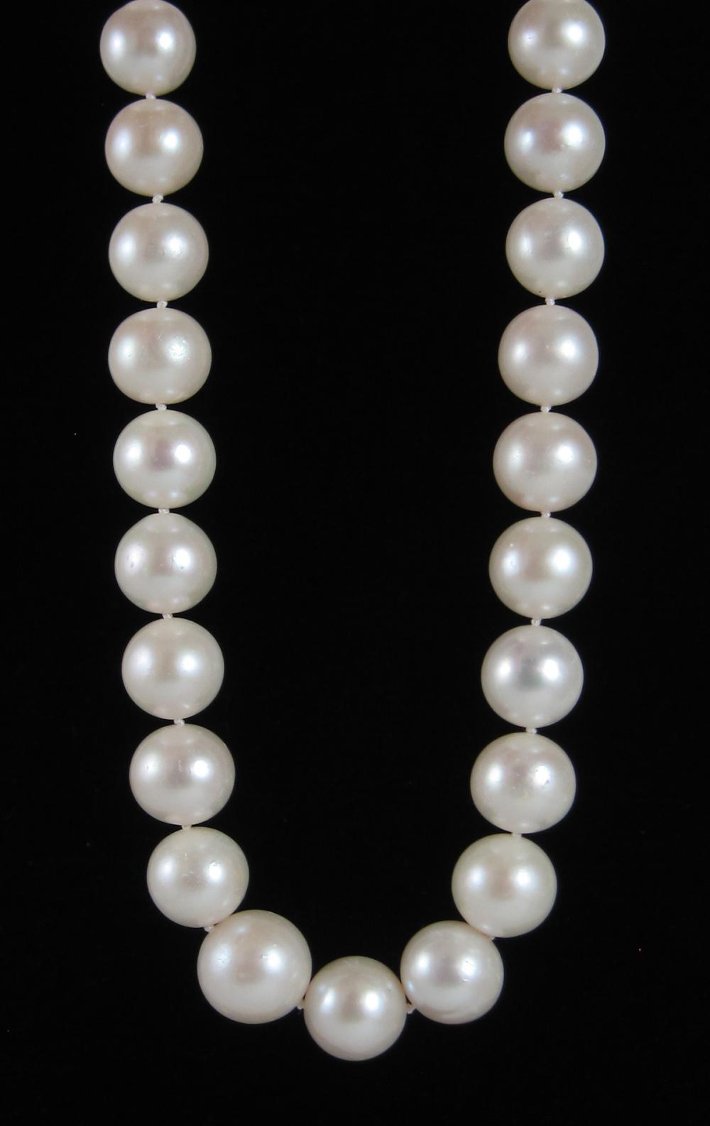 SOUTH SEA PEARL AND FOURTEEN