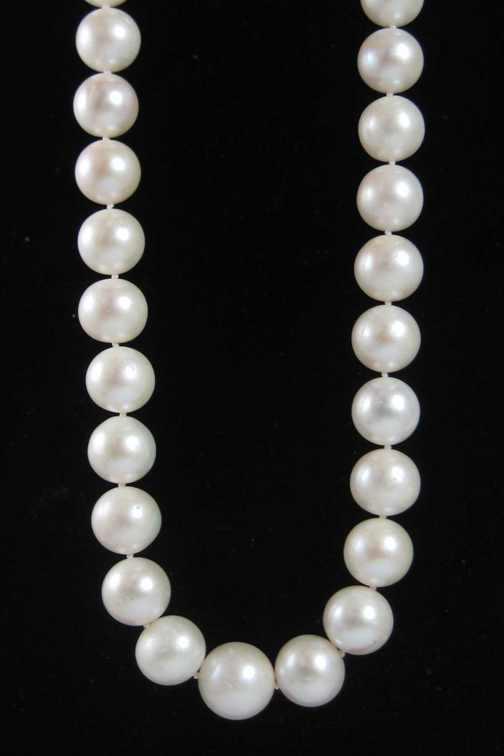 SOUTH SEA PEARL AND FOURTEEN